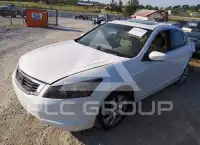 2010 Honda Accord фото