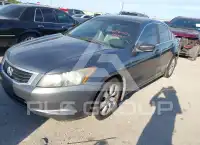 2010 Honda Accord photo