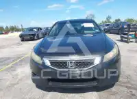 2010 Honda Accord photo
