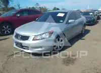 2010 Honda Accord photo