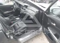 2010 Honda Accord photo