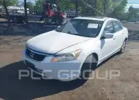 2010 Honda Accord фото