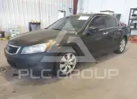 2010 Honda Accord photo