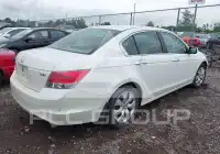 2010 Honda Accord фото