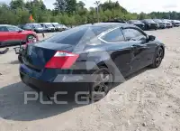 2010 Honda Accord фото
