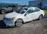 2010 Honda Accord фото