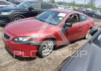 2010 Honda Accord фото