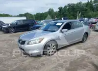 2010 Honda Accord photo