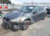 2010 Honda Accord photo