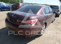 2010 Honda Accord photo