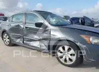 2010 Honda Accord фото
