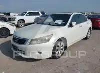 2010 Honda Accord photo