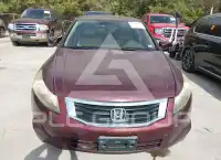 2010 Honda Accord photo