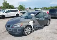 2010 Honda Accord photo