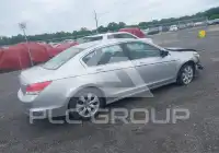 2010 Honda Accord фото