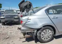 2010 Honda Accord photo