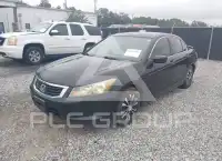 2010 Honda Accord фото