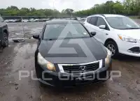 2010 Honda Accord фото