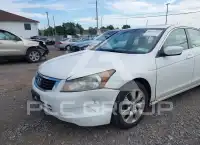 2010 Honda Accord photo