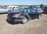 2010 Honda Accord photo