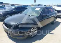 2010 Honda Accord фото