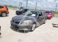 2010 Honda Accord фото