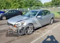 2010 Honda Accord фото