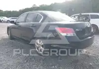 2010 Honda Accord photo