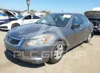 2010 Honda Accord фото