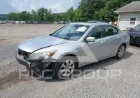 2010 Honda Accord фото