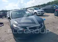 2010 Honda Accord фото