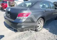 2010 Honda Accord фото