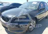 2010 Honda Accord фото