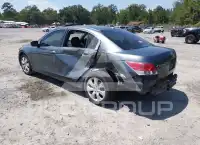 2010 Honda Accord фото