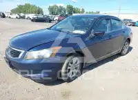 2010 Honda Accord фото