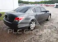 2010 Honda Accord фото