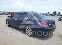 2010 Honda Accord фото