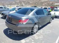 2010 Honda Accord фото