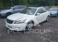 2010 Honda Accord фото