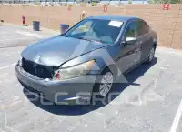 2010 Honda Accord фото
