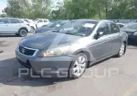 2010 Honda Accord фото