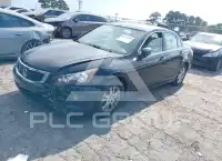 2010 Honda Accord фото