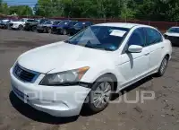 2010 Honda Accord фото