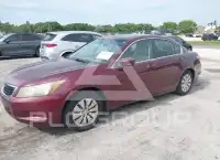 2010 Honda Accord photo