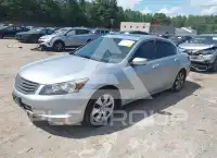 2010 Honda Accord фото