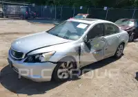 2010 Honda Accord photo