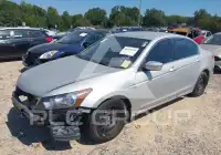 2010 Honda Accord photo