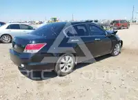 2010 Honda Accord photo