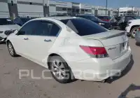 2010 Honda Accord photo