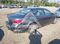 2010 Honda Accord photo